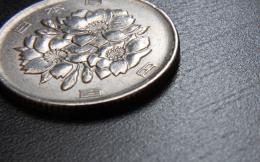 Flowers on the coin
